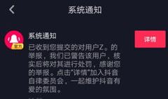 抖音短视频玩法技巧,轻松吸粉、引爆热度的秘籍解析